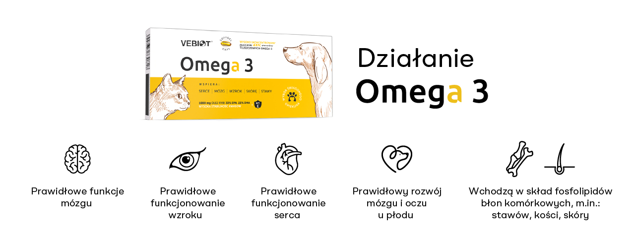 Omega 3 działanie